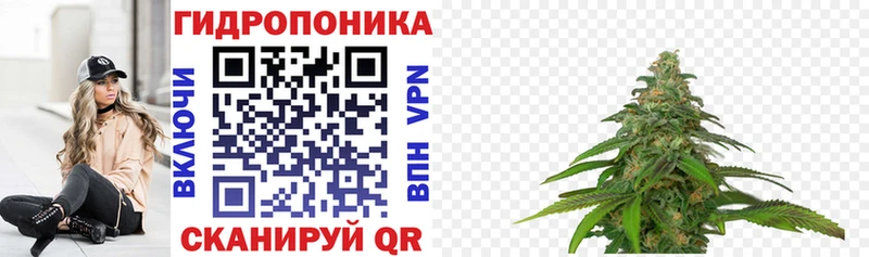 Наркотические вещества Звенигород Кокаин ссылка на мегу tor ГАШИШ СК АМФЕТАМИН Бошки Шишки Мефедрон