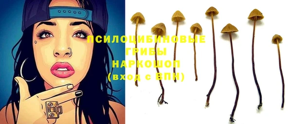 а пвп мука Дмитриев