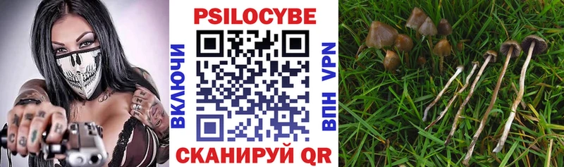 Галлюциногенные грибы Psilocybe  mega ссылки  Звенигород  наркота 