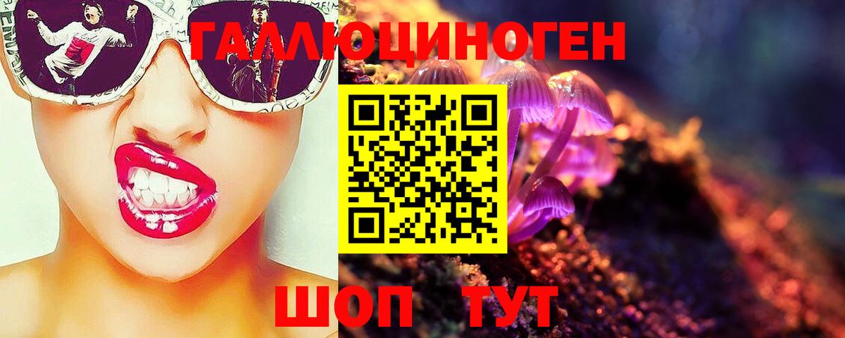 Звенигород  Псилоцибиновые грибы Cubensis  Вход с VPN 