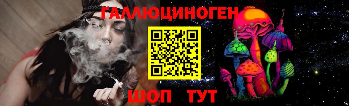 Галлюциногенные грибы прущие грибы  Звенигород 